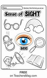 Senses Teachersmag Preschool sketch template