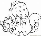 Cat Coloring Custard Playing Strawberry Shortcake Pages Coloringpages101 sketch template