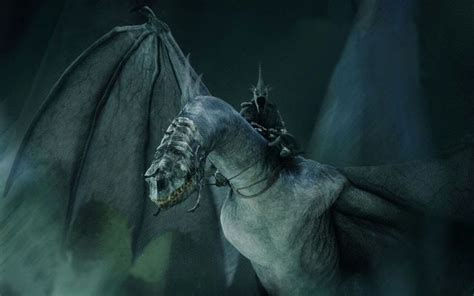 nazgul ringwraith witch king  fell beast  lord   rings