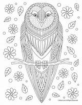 Coloring Owl Adult Pages Fall Mandala Adults Animal Printable Woojr Color Book Print Printables Bird Coloringbay sketch template