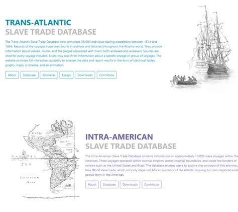 trans atlantic and intra american slave trade database zinn education