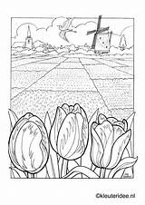 Coloring Pages Netherlands Tulip Field Landscape Dutch Windmill Adult Holland Colouring Choose Board Sheets Windmills sketch template