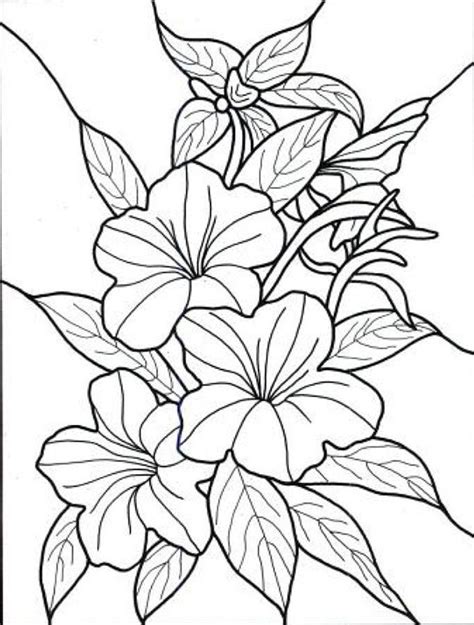hawaiian flower colouring pages page  coloring flower