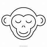 Mono Macaco Coloringcity sketch template