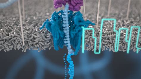 nanopore sequencing  dna barcoding method  hope  personalized