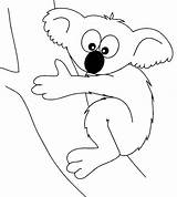 Coloring Koala Pages Animal Color Animals Zoo Bear Printable Tree Kids Sheets sketch template