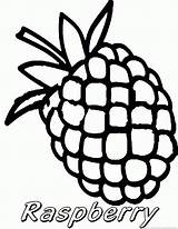 Raspberry Coloring 123coloringpages Fruit sketch template