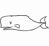 Whale Blue Coloring Coloringcrew sketch template
