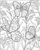 Coloring Pages Elaborate Getcolorings Butterfly sketch template