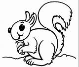 Coloring Colorear Ardillas Squirrel Pages Para Animales Kids Squirrels Flying Ardilla Printable La Imagen Que Sobre Animal Plantillas Pagina sketch template