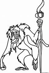 Rafiki Simba Holds Getdrawings Coloringonly sketch template