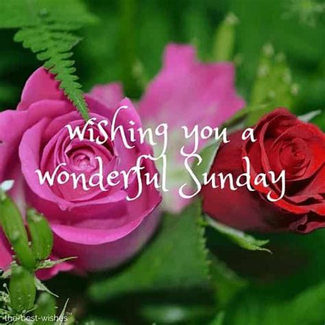 best wishes for sunday morning sweetest messages