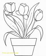 Pot Flower Coloring Pages Tulips Drawing Bouquet Plant Beautiful Draw Leaf Printable Cliparts Color Colouring Flowers Print Tulip Kids Colorluna sketch template