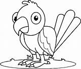 Coloring Parrot Fish Pages Baby Getdrawings Getcolorings Cartoon sketch template