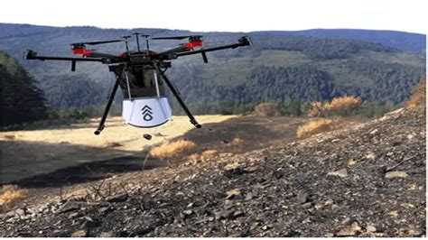 drones  plant  trees  month   billion goal set