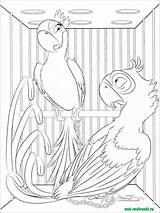 Rio Pages Coloring Recommended Rio2 sketch template