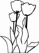 Coloring Tulips Tulip Flower Simple Pages Drawing Wecoloringpage Getdrawings Printable Flowers Getcolorings sketch template