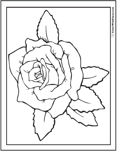 realistic rose coloring pages printable