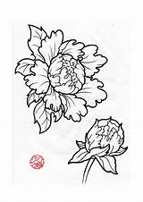Peony Japanese Drawing Tattoo Outline Flower Peonies Deviantart Drawings Styles Flowers Sketch Tattoos Closed Designs Lotus Getdrawings Stencils Paintingvalley Illustration sketch template