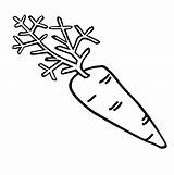 Carrot Coloring Pages Outline Snow Draw Color sketch template