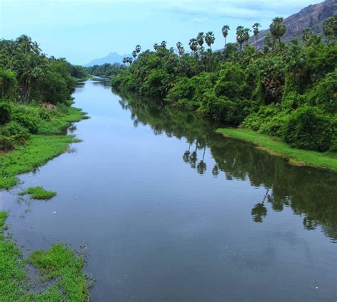 river thamirabarani originates  agasthyamalai biosphere reserve