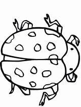 Coloring Pages Insects Primarygames Bug Insect Science sketch template