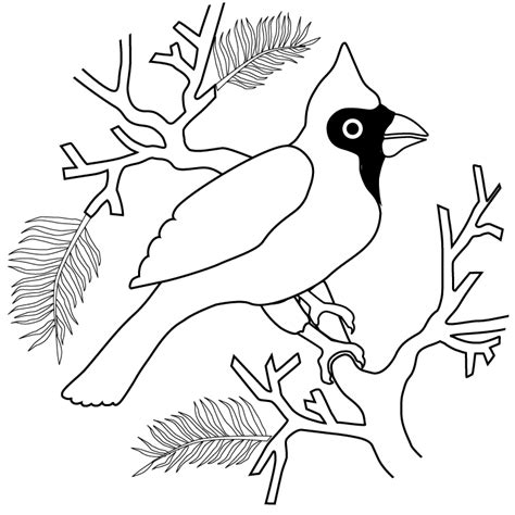 cardinal coloring pages printable coloring home