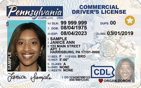 law updates cdl licensing requirements aims  address human
