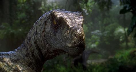 Velociraptor Jurassic Park The Lost World Jurassic Park