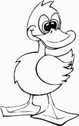 Colorat Rata Planse Desene Pato Duck Imagini Domestice Animale Cheie Cuvinte sketch template