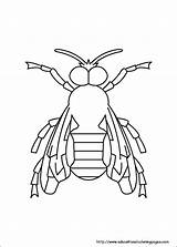 Insects Coloring Pages Insect1 sketch template