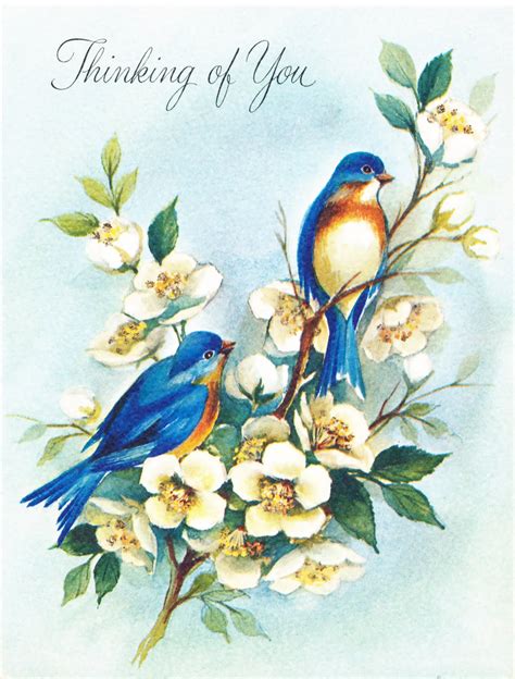 collage candy bird images  vintage greeting cards
