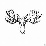 Moose sketch template