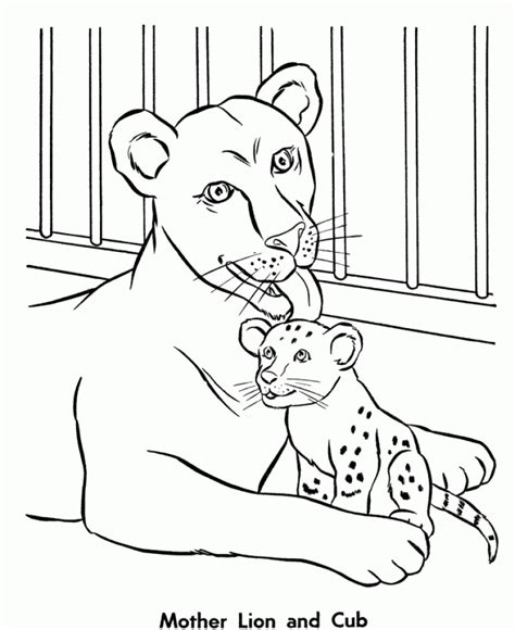 printable zoo coloring pages everfreecoloringcom