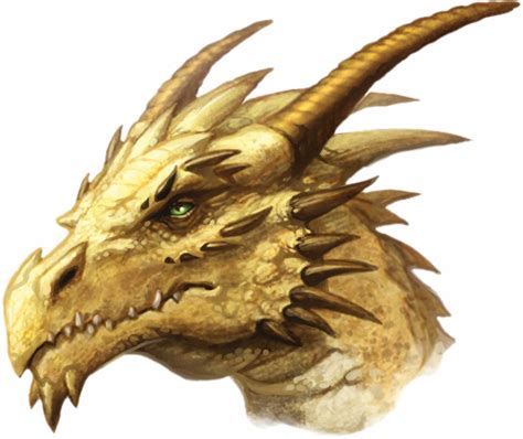 dragon head