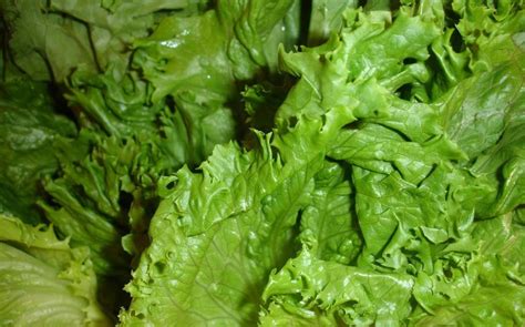 officially declares     leafy green outbreak
