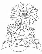Cactus Growing Flower Coloring Pages sketch template