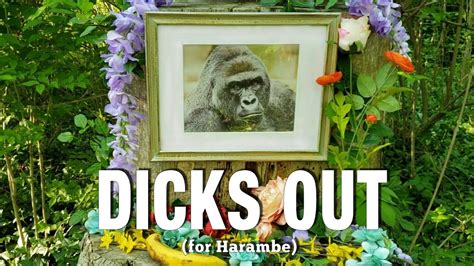 dicks out for harambe playmogame youtube