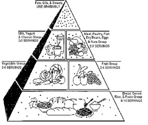 food pyramid coloring page  kids color sheets pinterest food