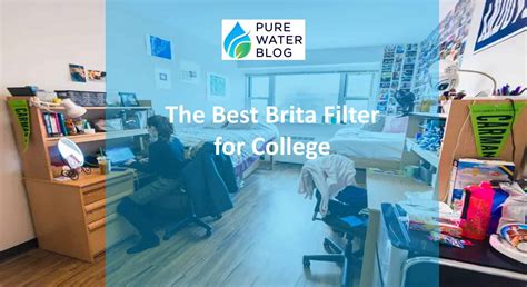brita filter  college water treatment