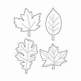 Leaf Template Leaves Pattern Patterns Fall Printable Print Traceable Cut Templates Shapes Garland Cliparts Leave Thanksgiving Stencils Coloring Clipart Printout sketch template