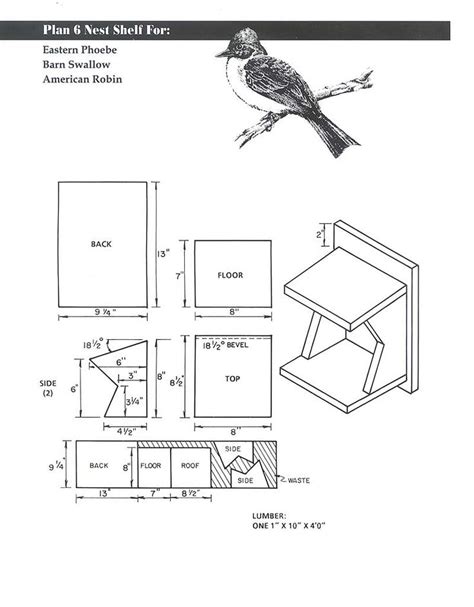 plan surprising   build robin bird house image hd houses red wildlife home   bird