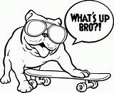 Bulldog Skateboarding sketch template