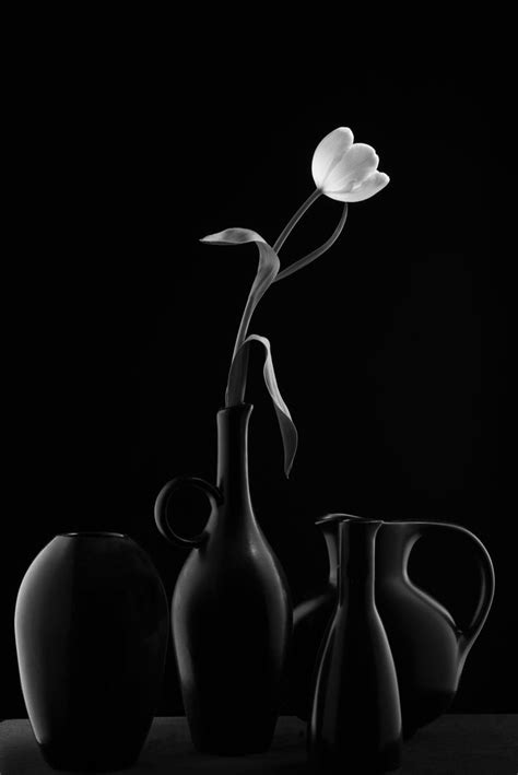 black vases black vase vase black aesthetic
