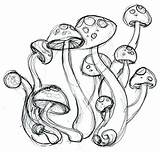 Mushrooms Psychedelic Drawings Deviantart Shrooms Pencil sketch template