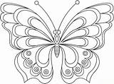 Schmetterling Malvorlage Schmetterlinge Malvorlagen sketch template