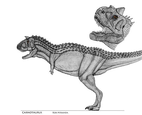 Carnotaurus Concept Art By Yankeetrex On Deviantart