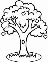 Tree Mango Colouring Pages Clipart Clip Outline Printable sketch template