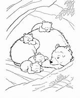 Hibernation Hibernating Ours Martie Cubs Toca Ursos Hibernate Colorat Planse Coloringhome Urso Família Honkingdonkey Wilder Ingalls Woods Polar Felicitare Desenam sketch template
