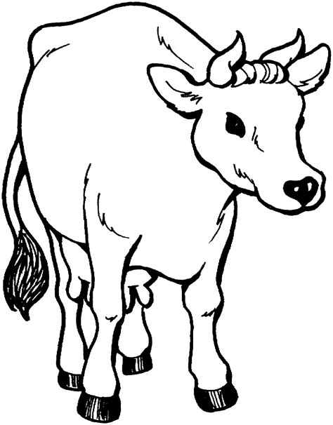 printable  coloring pages  kids animal place